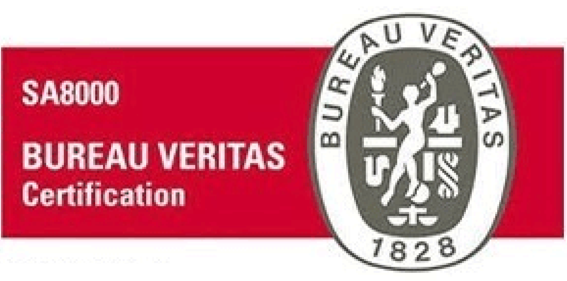 Bureau Veritas Logo